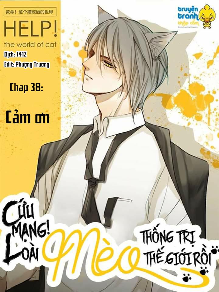 Cứu Mạng! Loài Mèo Thống Trị Thế Giới Rồi! Chapter 38 - 1