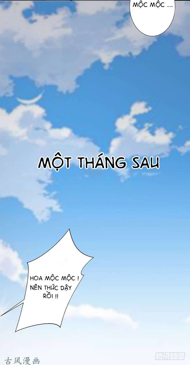 Trường Học Thảo Yêu Hoa Chapter 49 - 42