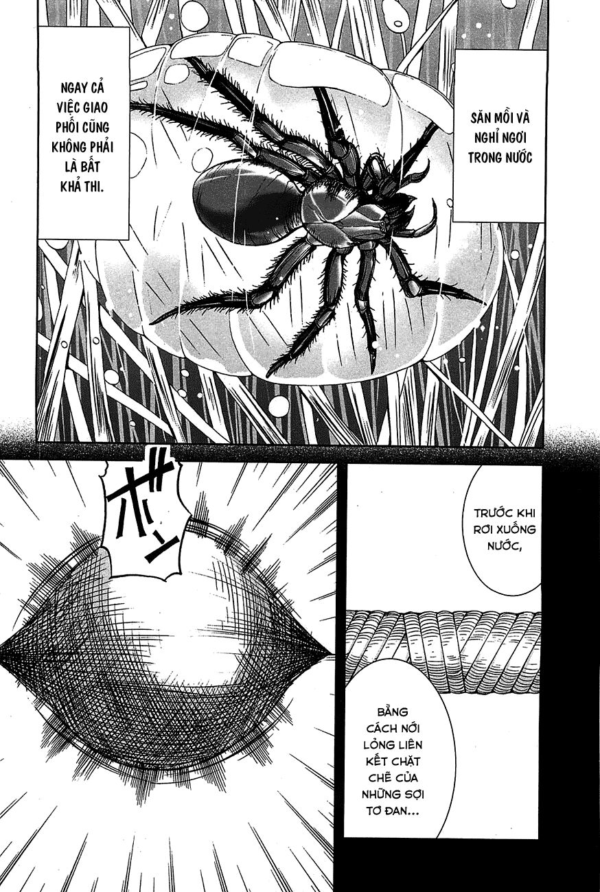 Arachnid Chapter 20 - 14