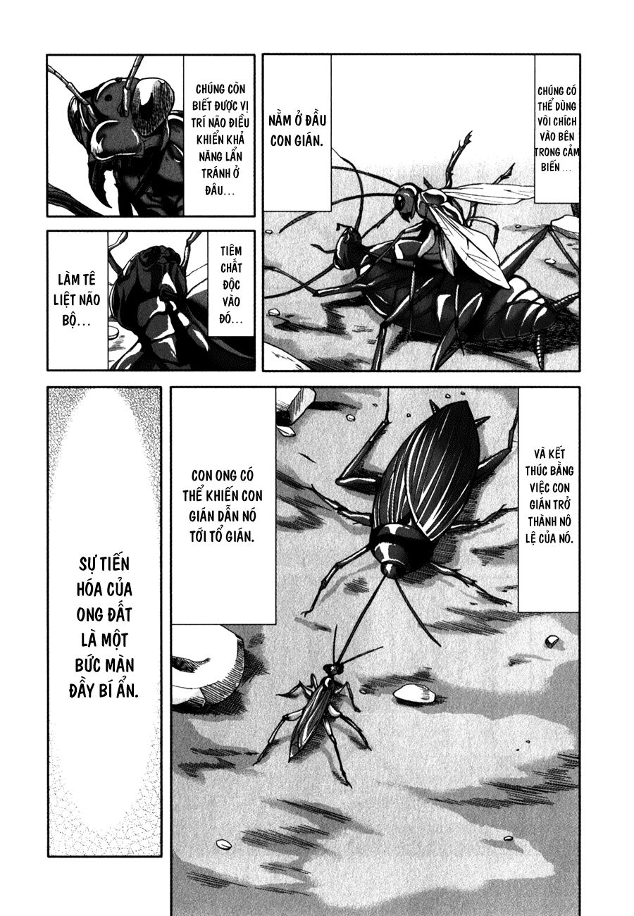 Arachnid Chapter 26 - 29