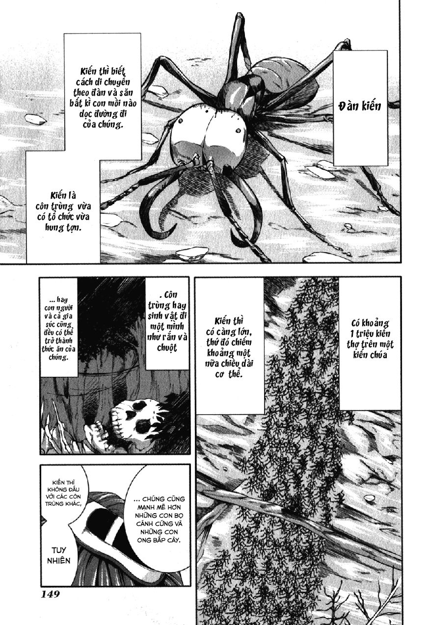 Arachnid Chapter 30 - 5