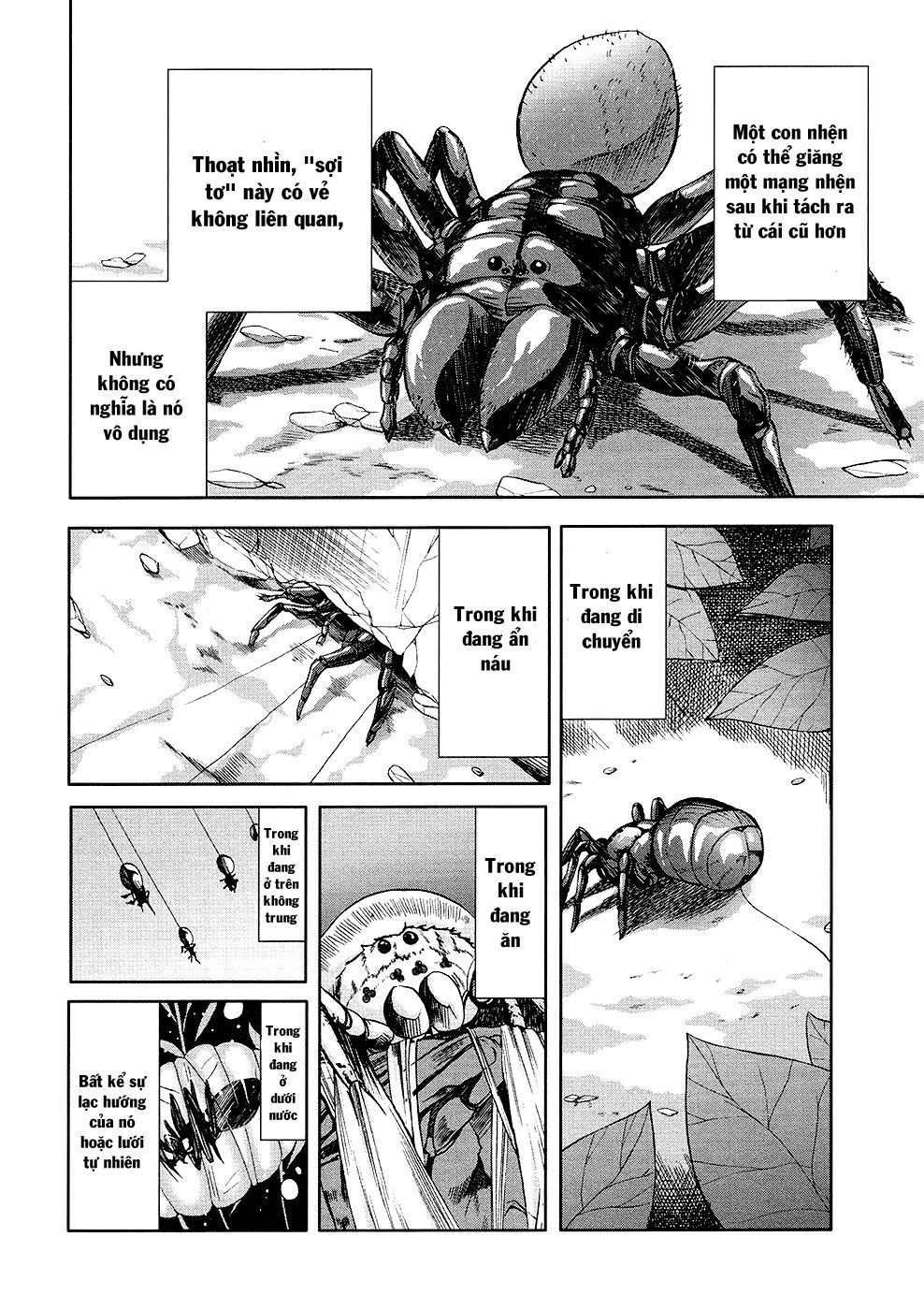 Arachnid Chapter 31 - 34