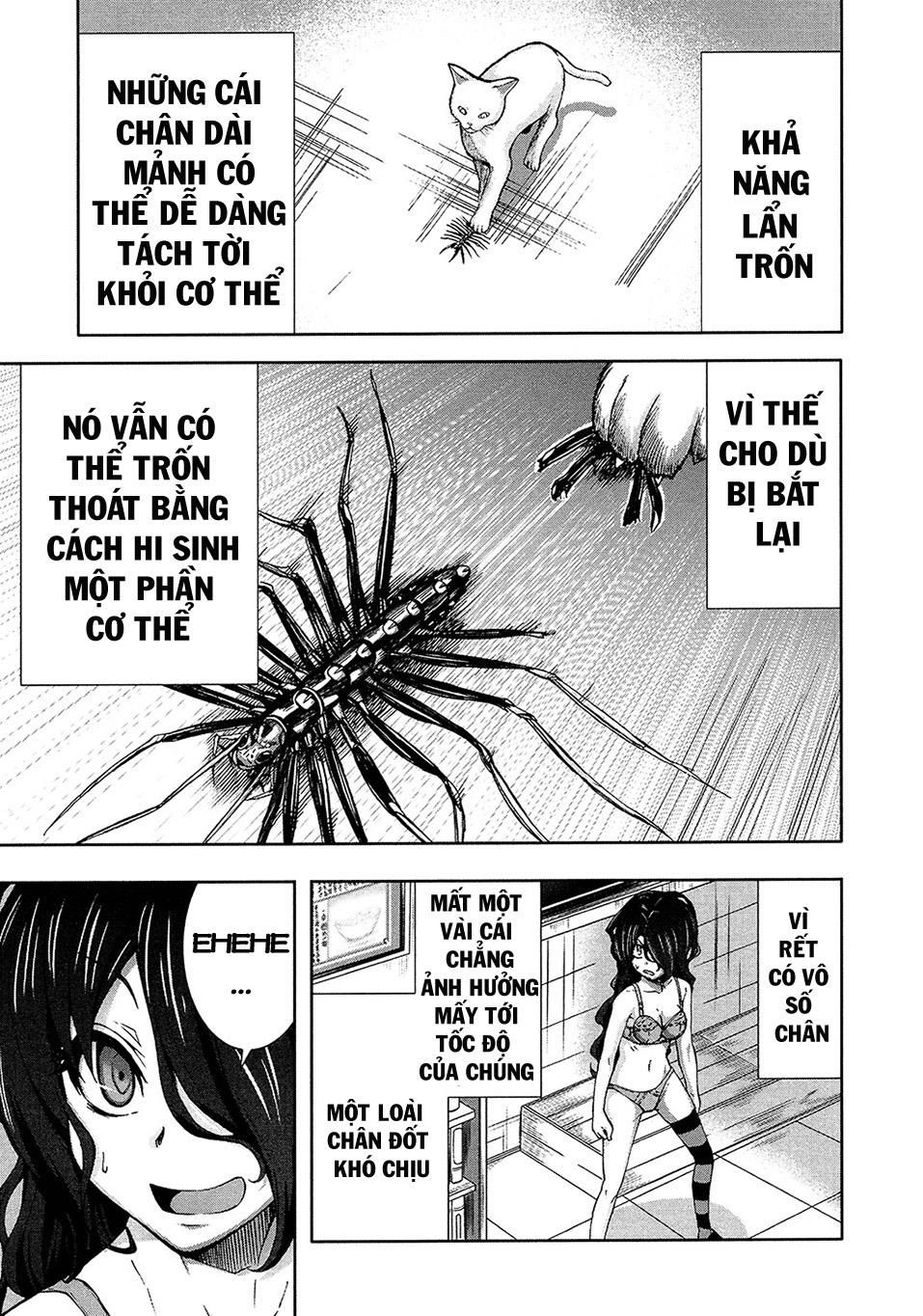 Arachnid Chapter 40 - 24