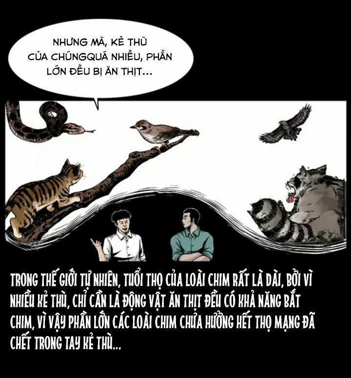 U Minh Ngụy Tượng Chapter 38 - 8