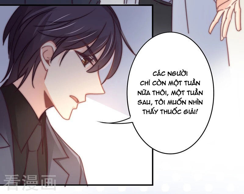 Cuồng Duệ Tiểu Thê Chapter 110 - 5