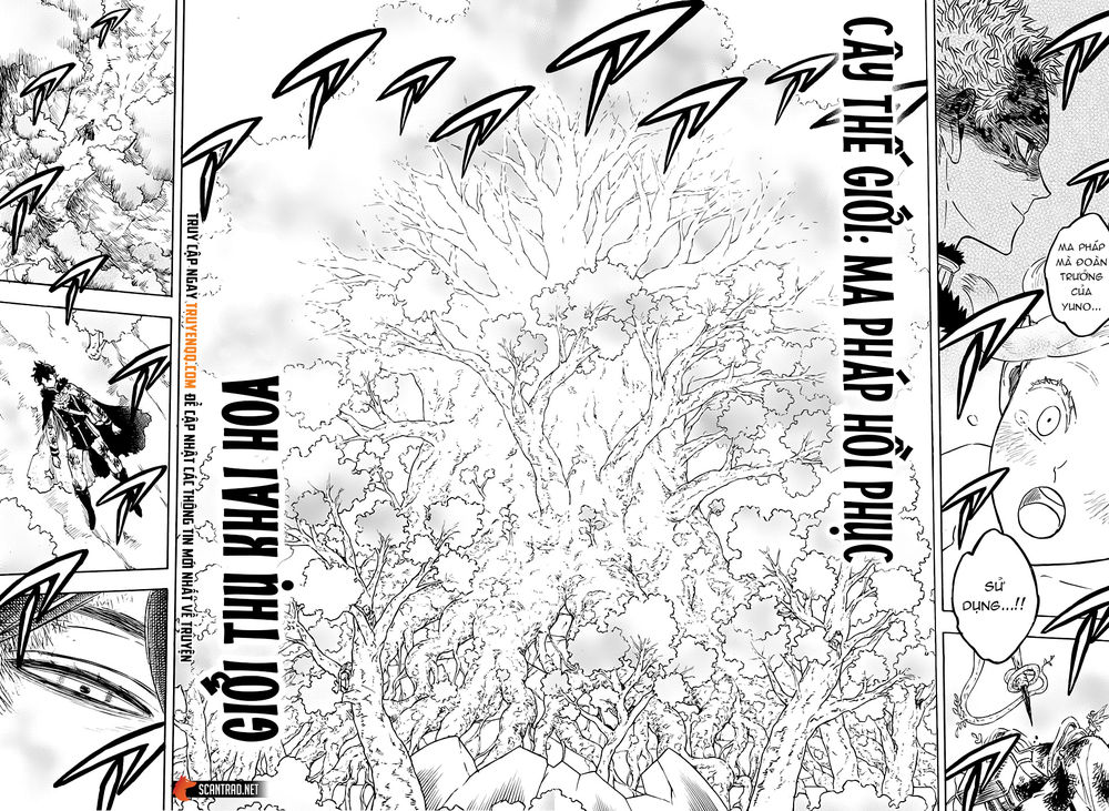 Black Clover - Thế Giới Phép Thuật Chapter 239 - 5