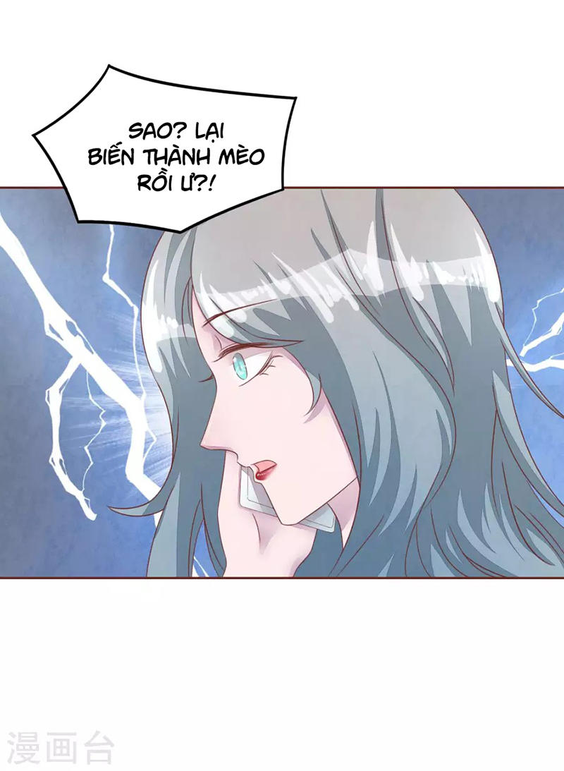 Đào Tạo Nuôi Dưỡng Bạn Trai Mèo Chapter 48 - 31