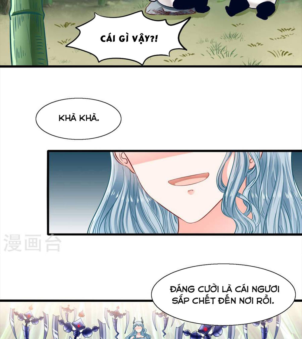 Tôi Bị Gấu Trúc Nhìn Trúng Rồi Chapter 9 - 25