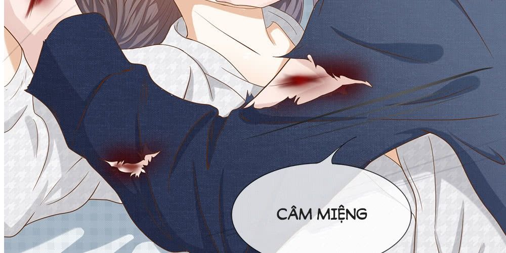 Tổng Tài Ma Cà Rồng Của Tôi Chapter 3 - 12