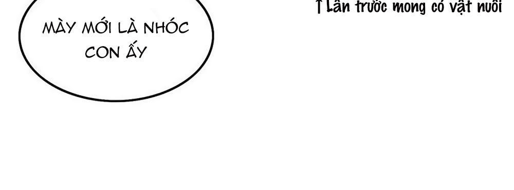 Cướp Đi Nụ Hôn Của Người Chapter 29 - 58