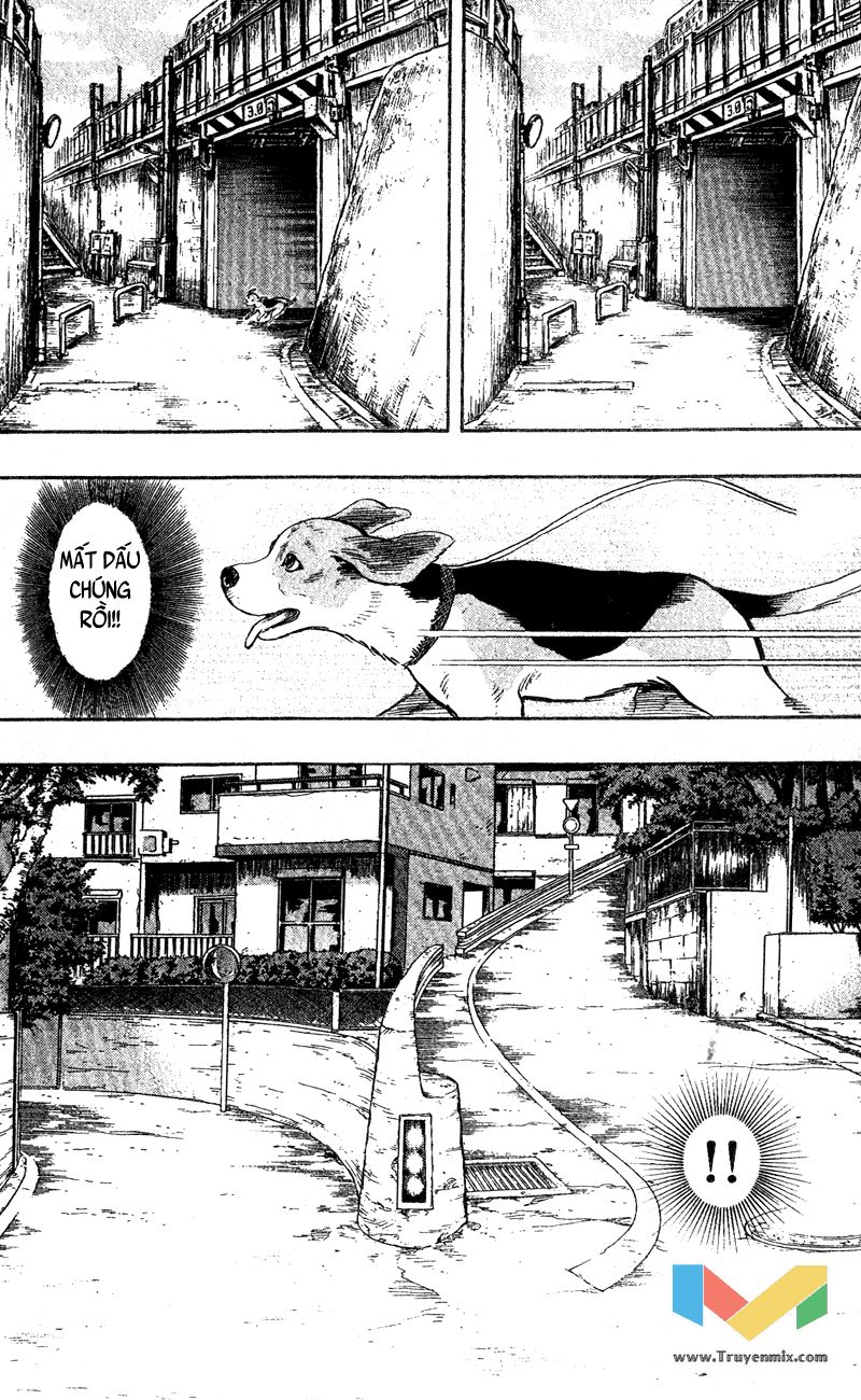 Animal Sense Chapter 1 - 41