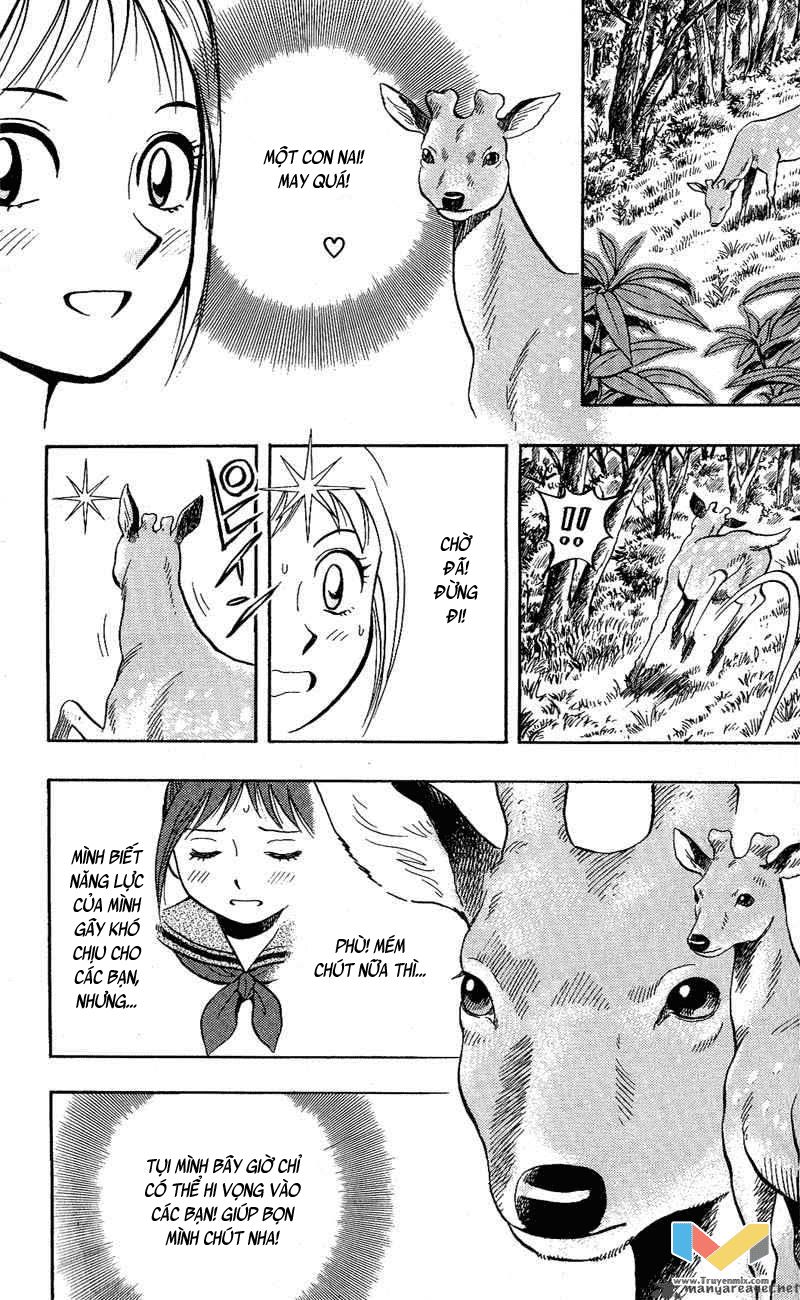 Animal Sense Chapter 10 - 8