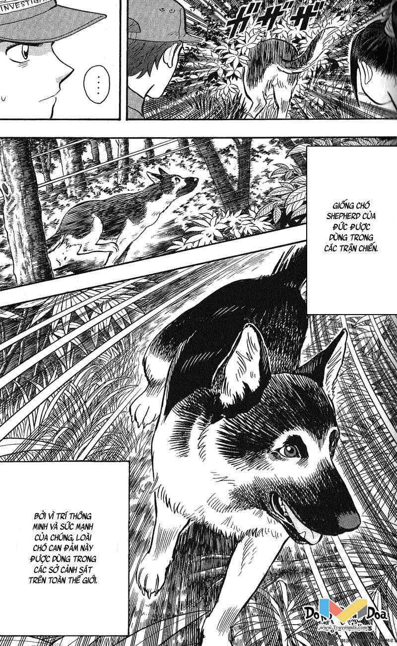 Animal Sense Chapter 12 - 19