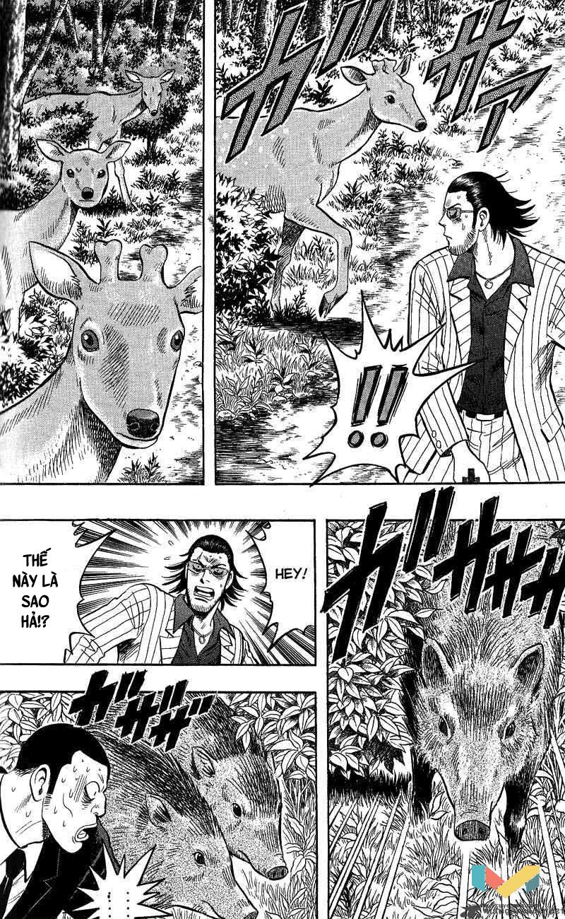 Animal Sense Chapter 13 - 28