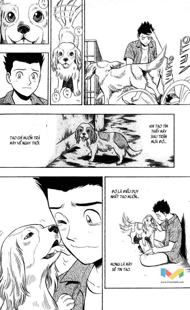 Animal Sense Chapter 4 - 10