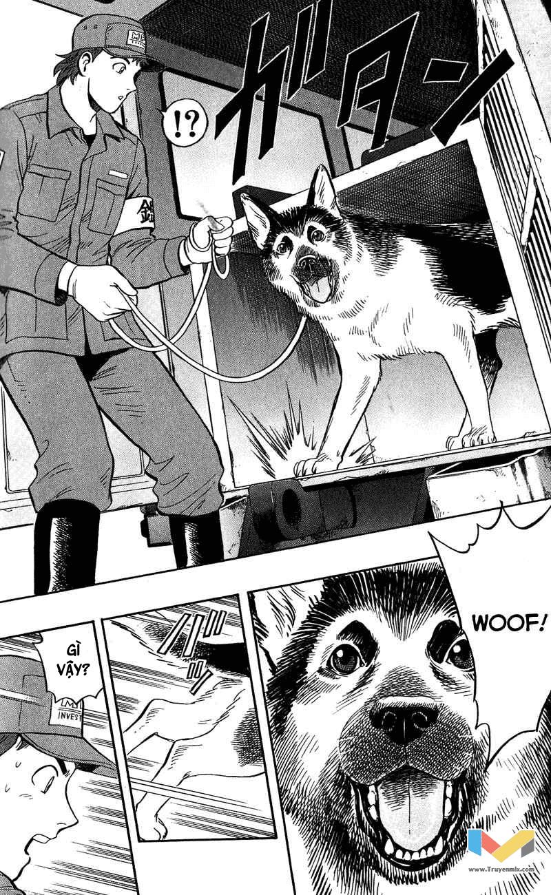 Animal Sense Chapter 8 - 27