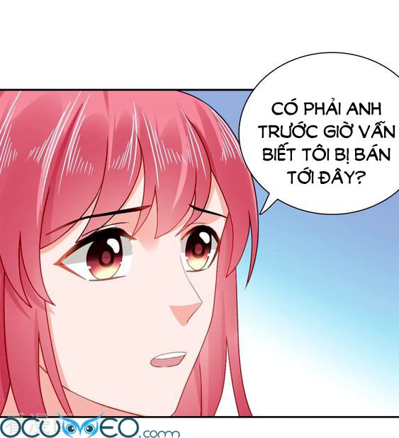 Sủng Hôn Lai Tập Chapter 45 - 27