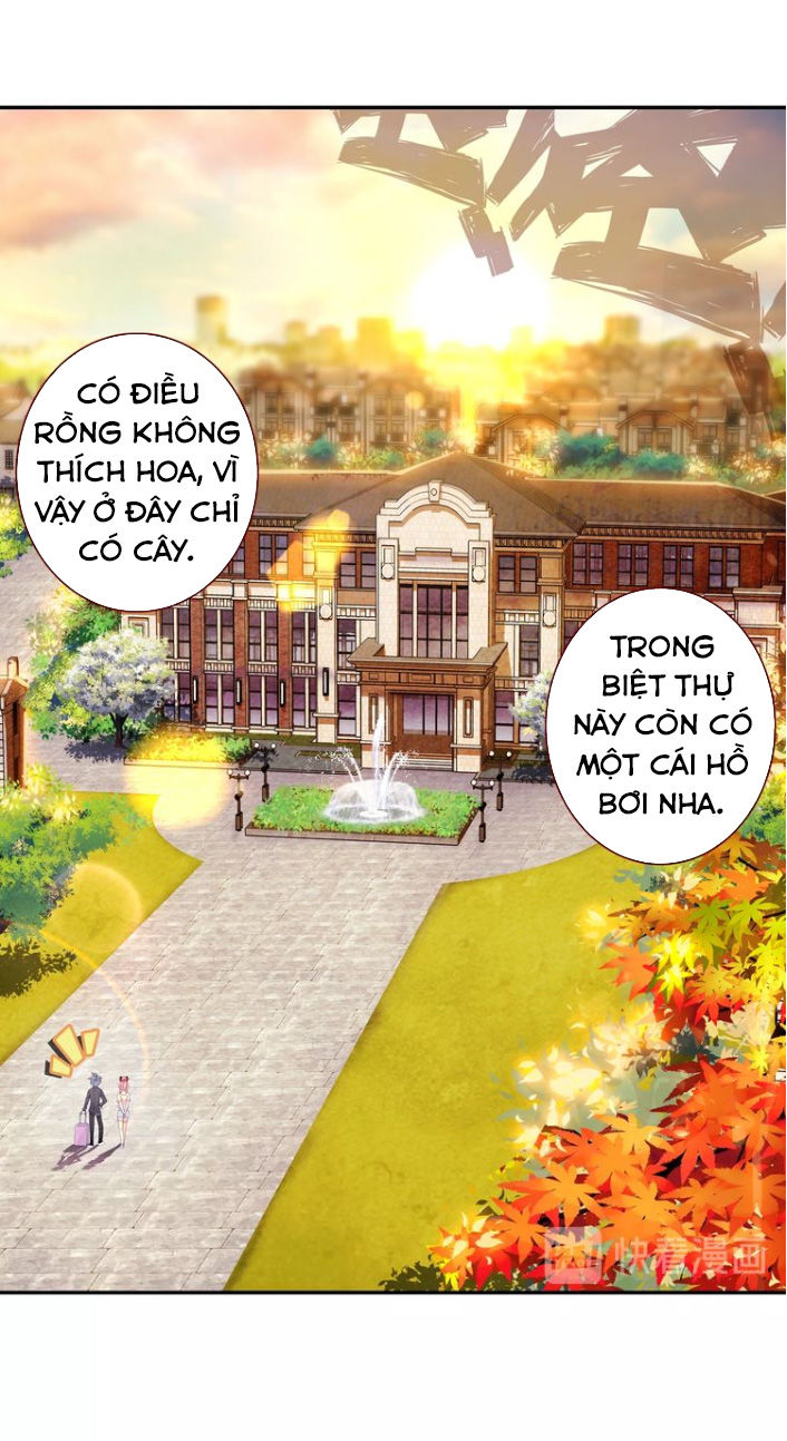 Sinh Tiêu Thủ Hộ Thần Chapter 21 - 19