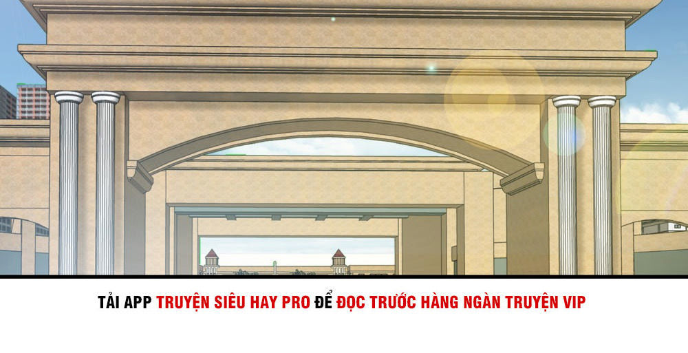 Hộ Hoa Cao Thủ Tại Đô Thị Chapter 113 - 20