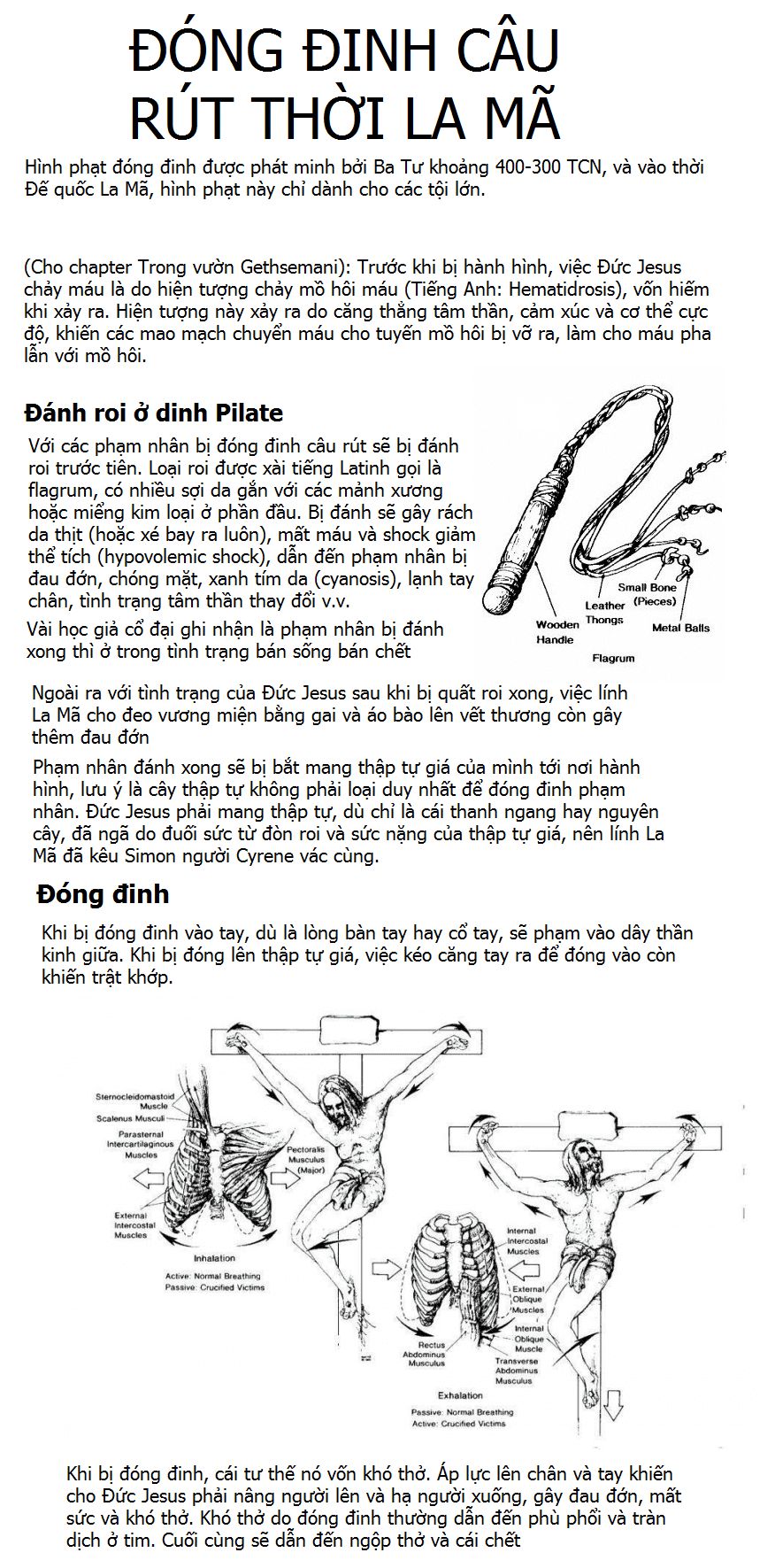 Thánh Kinh Truyện - Đấng Cứu Thế Chapter 22 - 15