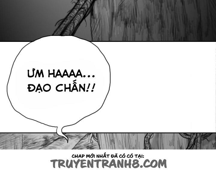 Hạt Giống Mỹ Nhân Chapter 38 - 12