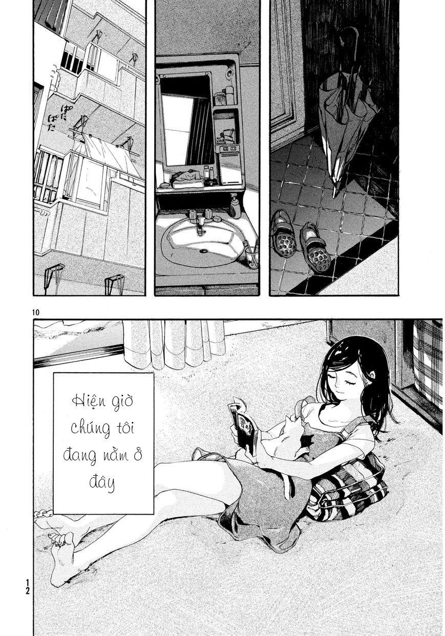 Chú Mèo Và Cô Chủ Chapter 1 - 8