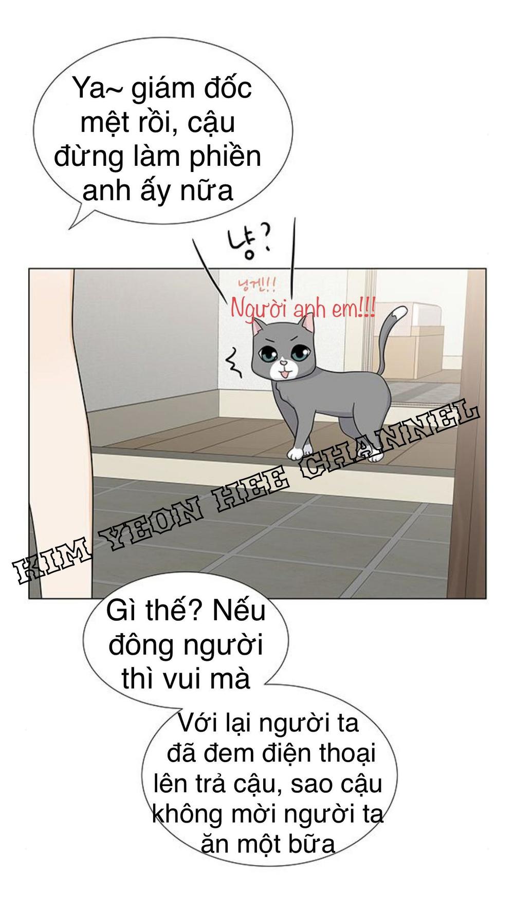 Idol Và Sếp Em Yêu Ai? Chapter 102 - 16