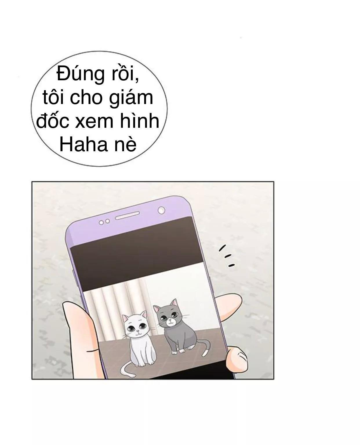 Idol Và Sếp Em Yêu Ai? Chapter 117 - 17