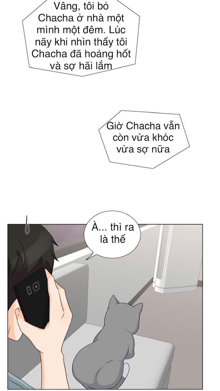 Idol Và Sếp Em Yêu Ai? Chapter 68 - 19