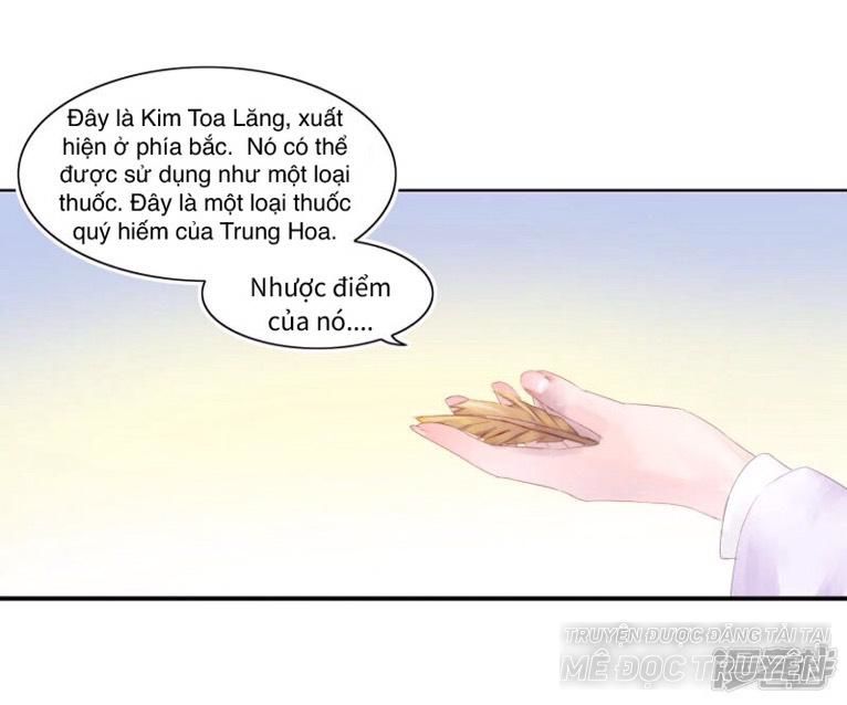 Thịnh Thế Vô Cấu Chapter 6 - 21