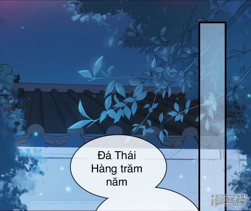 Thịnh Thế Thiên Kiêu Chapter 17 - 21