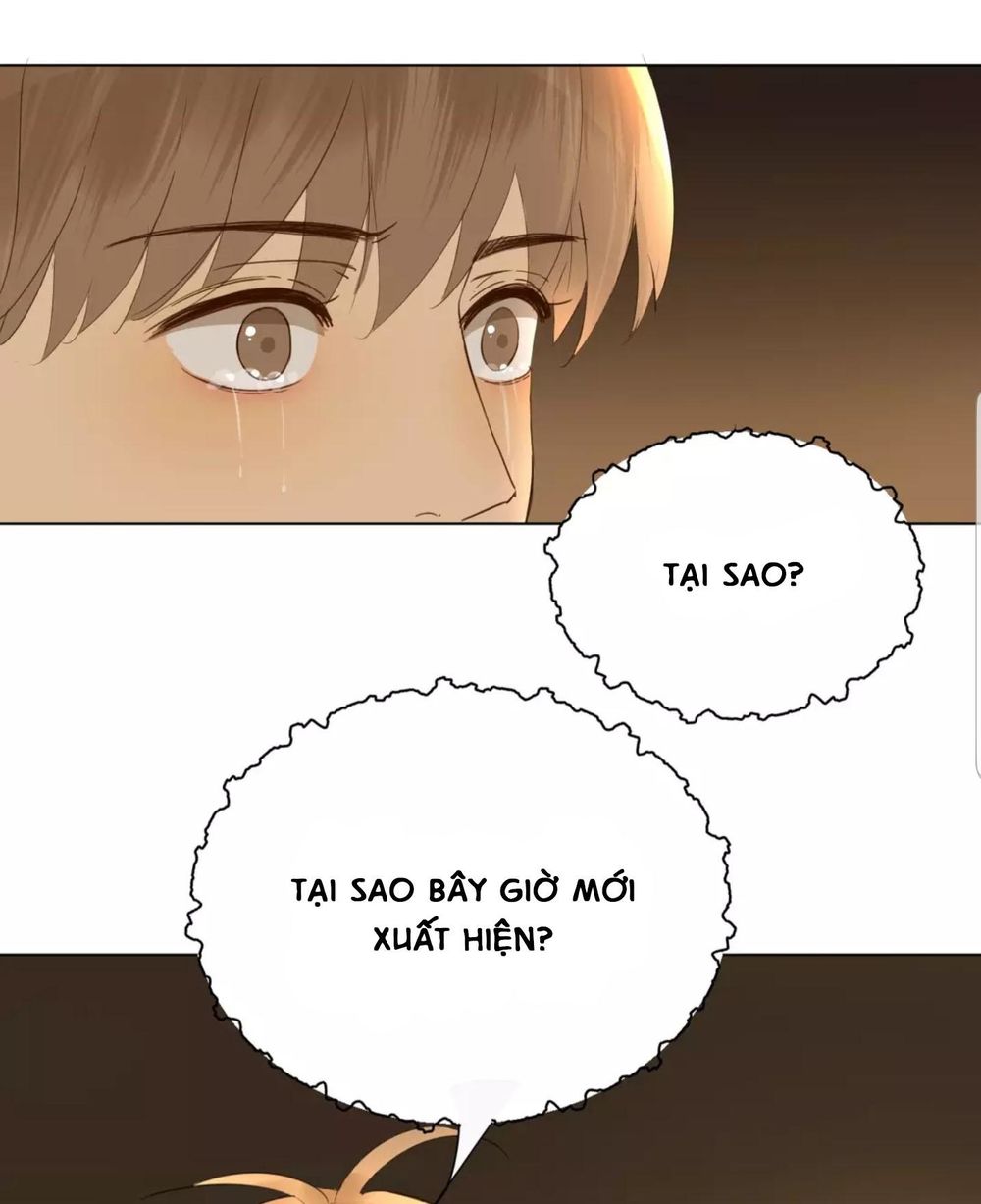 Tôi Gặp Em Lúc Bình Minh Chapter 31 - 37