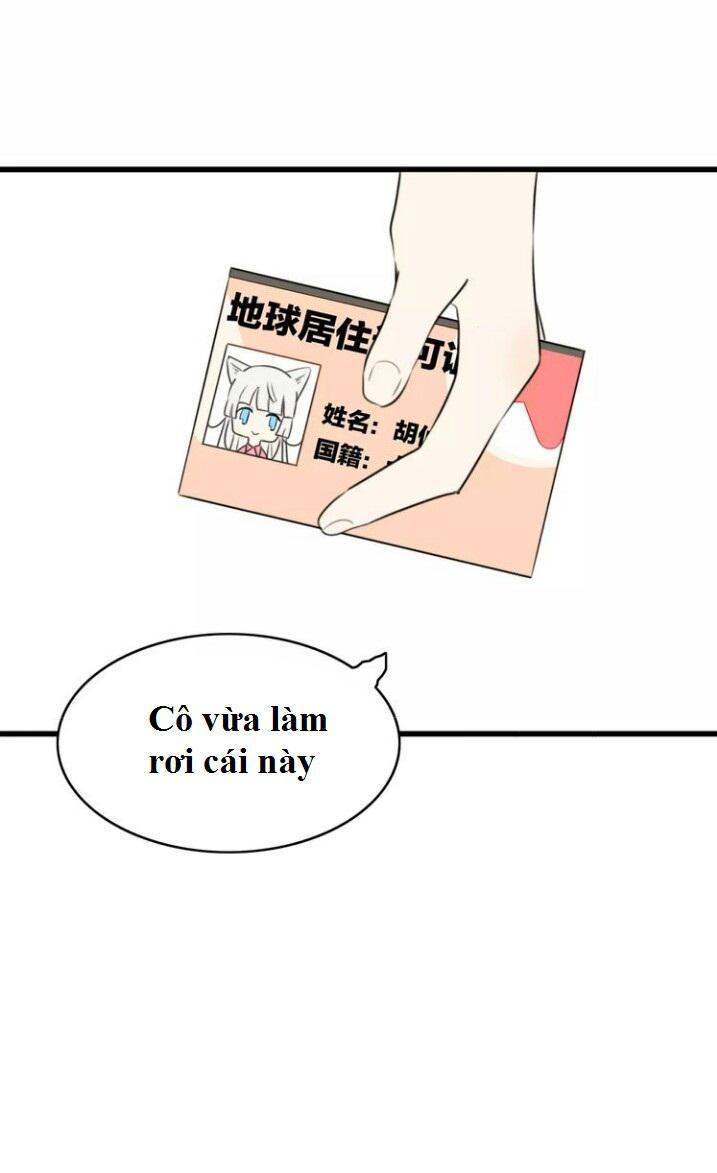 Thú Sủng Của Tôi Bị Mất Trí Rồi Chapter 24 - 23