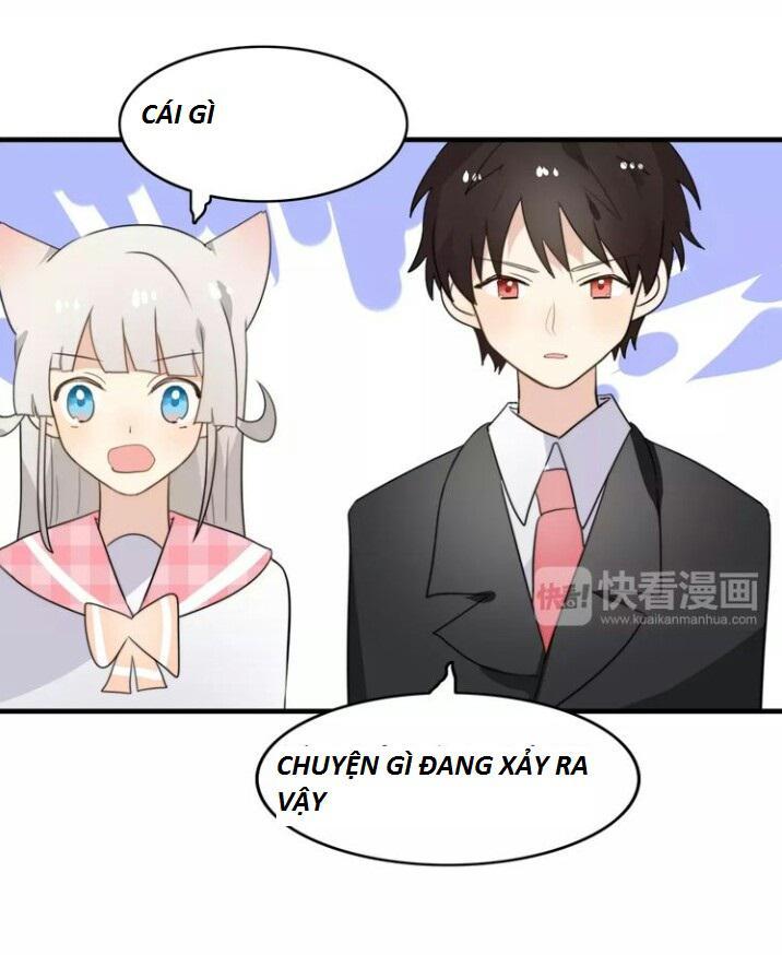 Thú Sủng Của Tôi Bị Mất Trí Rồi Chapter 47 - 21