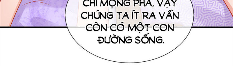 Vợ Yêu Gả Nhầm Của Phúc Hắc Tổng Tài Chapter 51 - 47