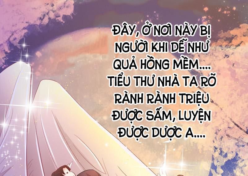 Tuyệt Thế Luyện Đan Sư Chapter 5 - 30