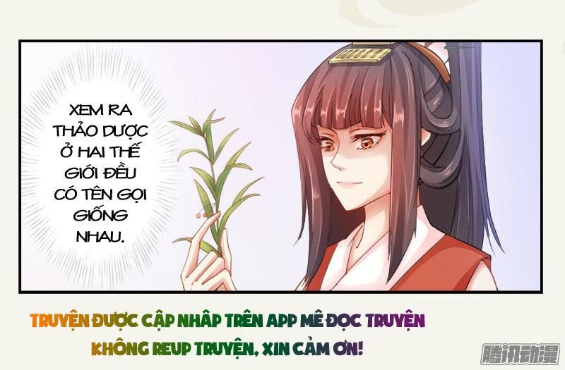 Tuyệt Thế Luyện Đan Sư Chapter 5 - 7