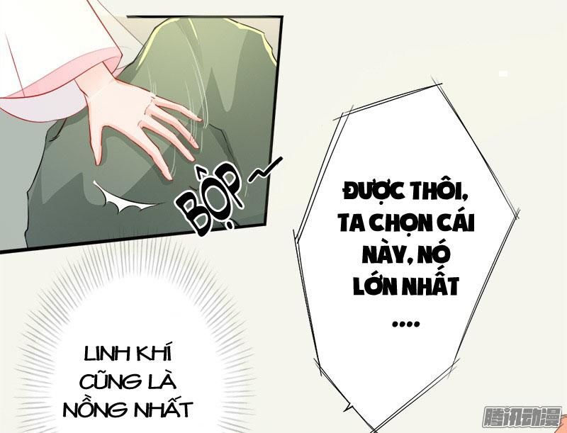 Tuyệt Thế Luyện Đan Sư Chapter 6 - 35