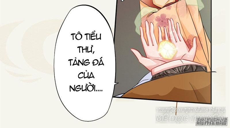 Tuyệt Thế Luyện Đan Sư Chapter 6 - 41