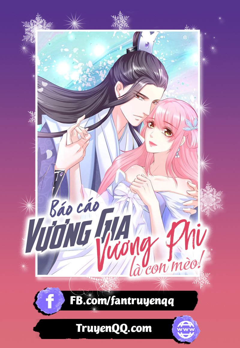 Báo Cáo Vương Gia, Vương Phi Là Một Con Mèo Chapter 2 - 1