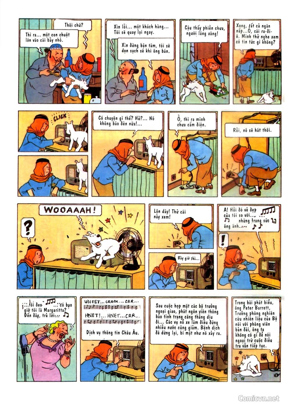 Những Cuộc Phiêu Lưu Của Tintin Chapter 2 - 12