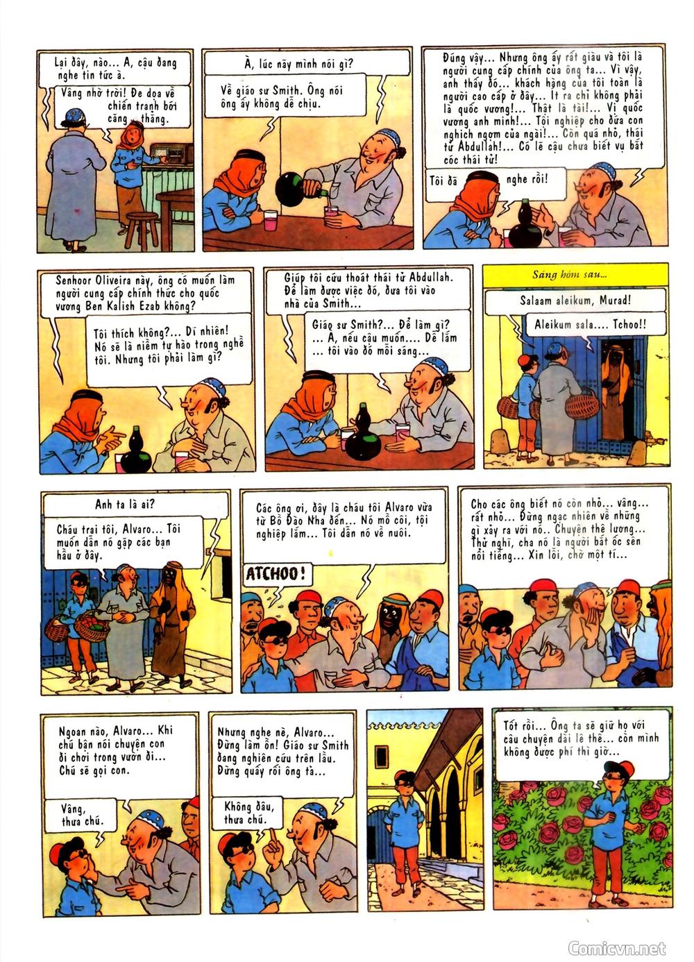 Những Cuộc Phiêu Lưu Của Tintin Chapter 2 - 13