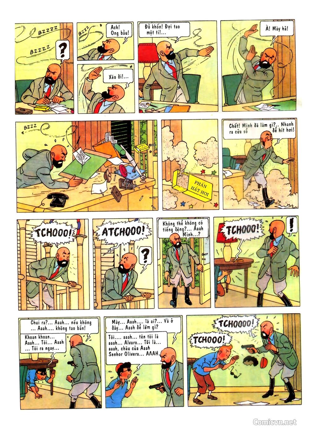 Những Cuộc Phiêu Lưu Của Tintin Chapter 2 - 16