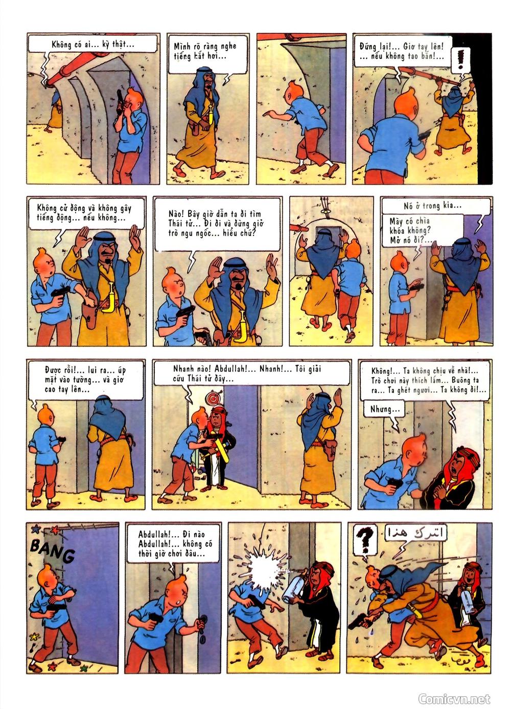 Những Cuộc Phiêu Lưu Của Tintin Chapter 2 - 19