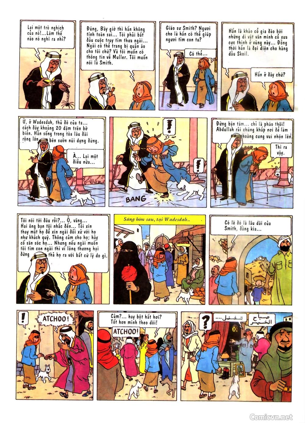 Những Cuộc Phiêu Lưu Của Tintin Chapter 2 - 10