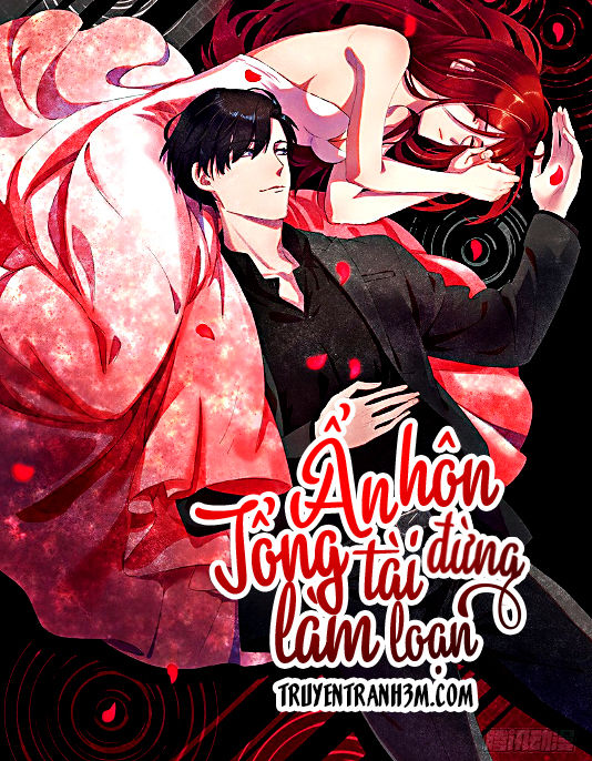 Ẩn Hôn Tổng Tài Đừng Làm Loạn Chapter 10 - 1