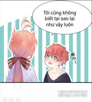 Người Yêu Ngọt Ngào Của Tôi Chapter 4 - 21