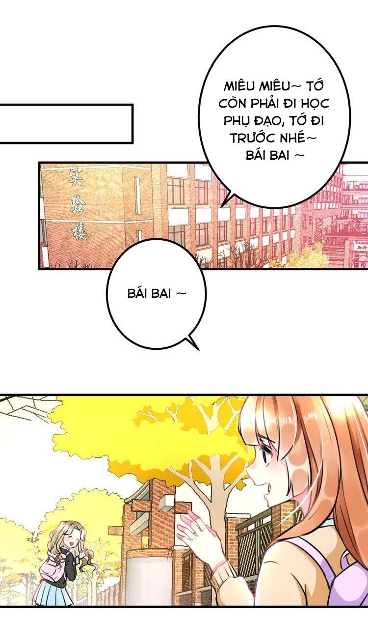 Lão Ca Minh Tinh, Mời Xuất Chiêu! Chapter 35 - 12