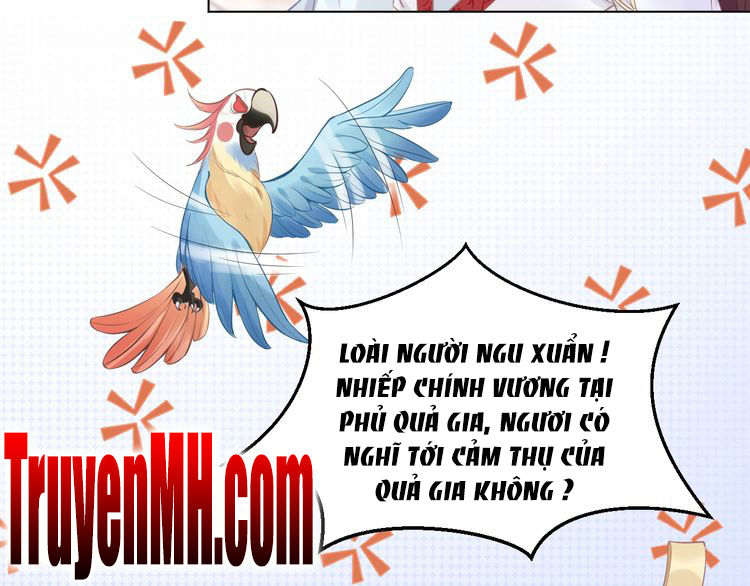 Nhất Sinh Nhất Thế Tiếu Thương Khung Chapter 6 - 40