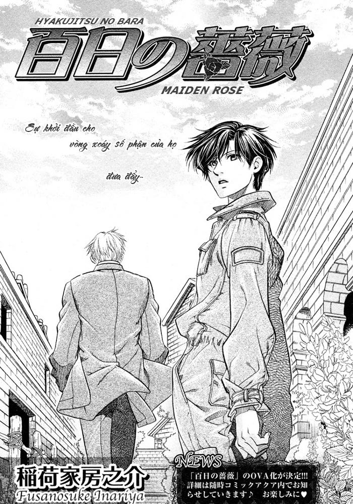 Maiden Rose Chapter 14 - 8